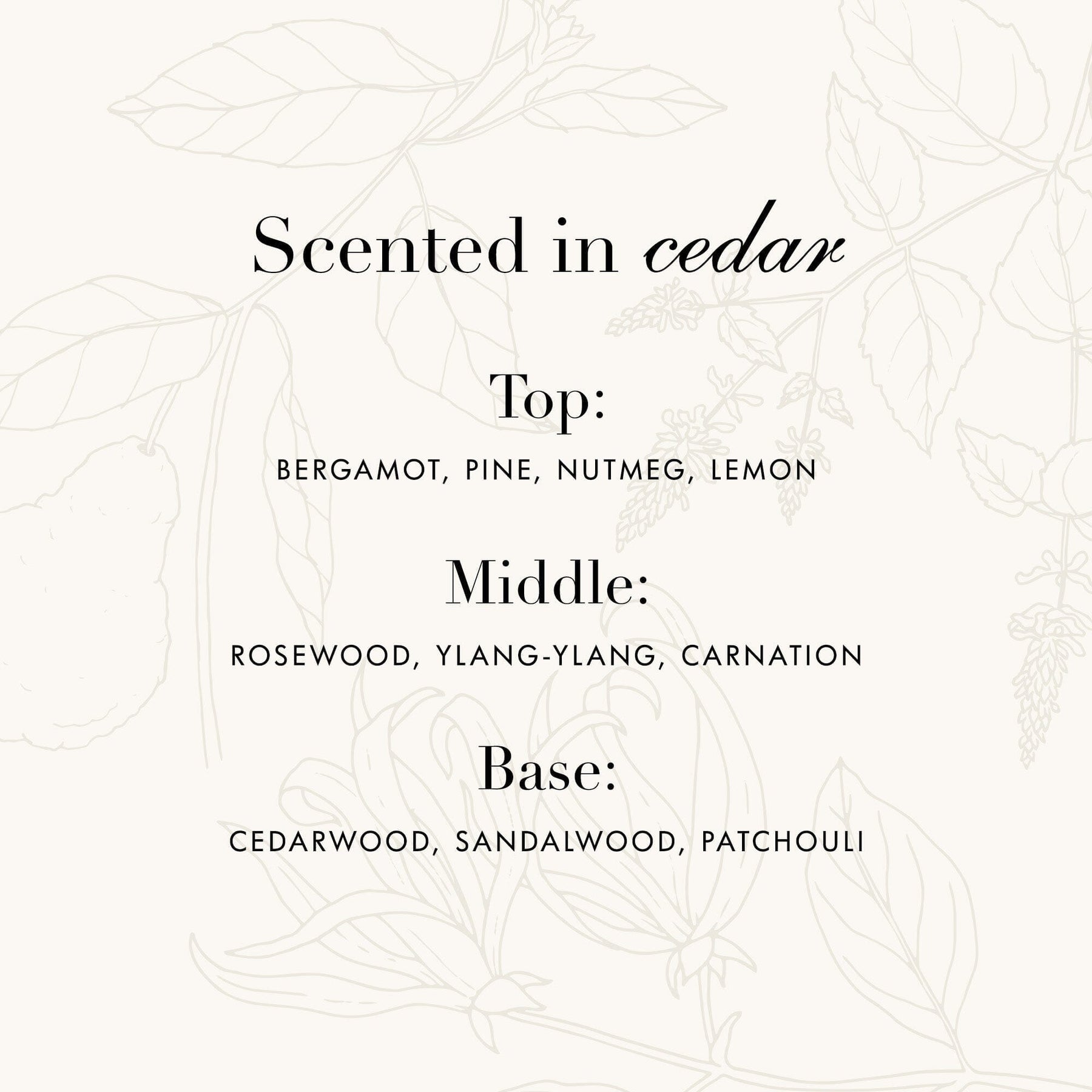 Laundress Wool & Cashmere Shampoo – 16oz