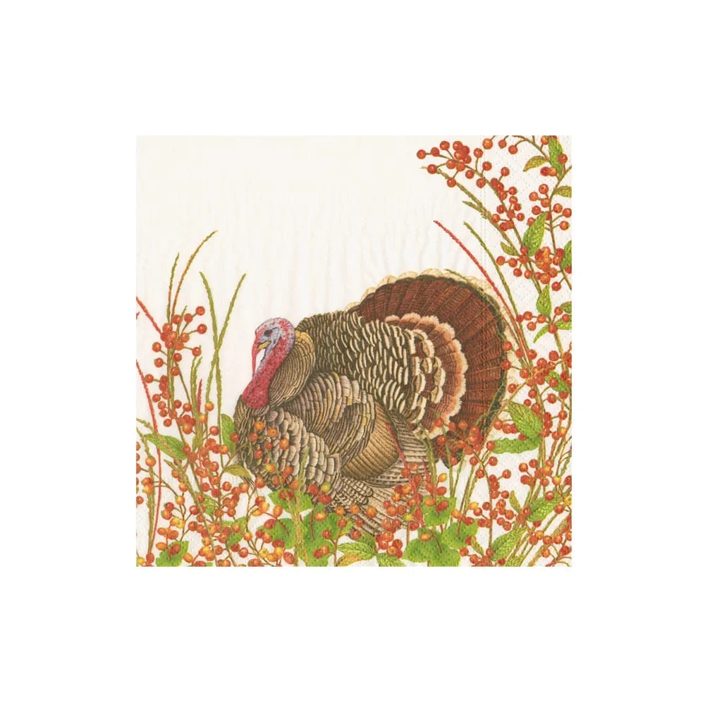 Caspari Turkey And Berries Cocktail Napkin - 20pk
