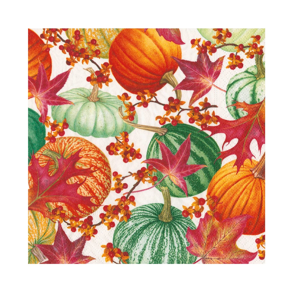 Caspari Gourds and Leaves Recycled Paper Lunch Napkins – 20pk