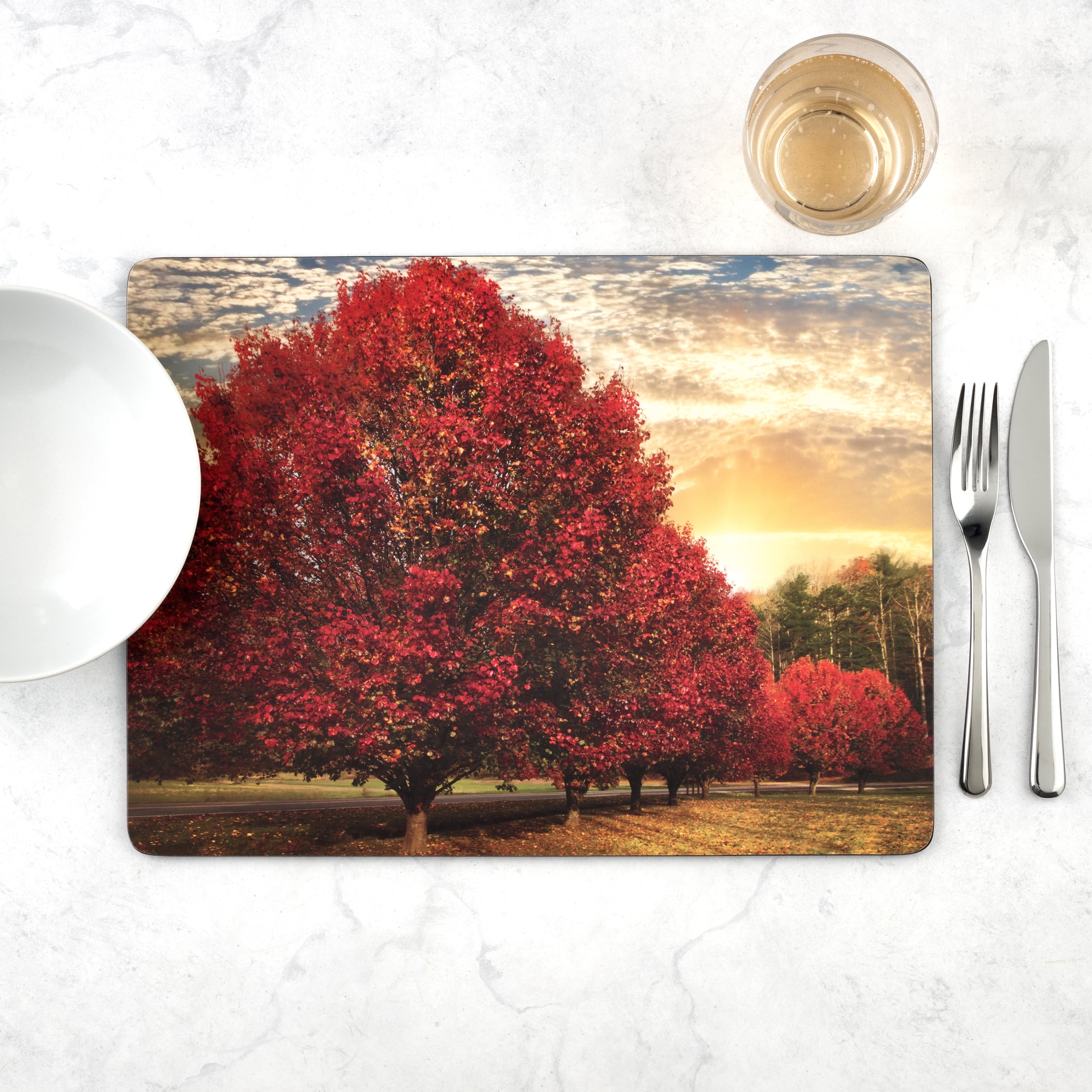 Crimson Trees Cork Bottom Hard Placemats – Set of 4