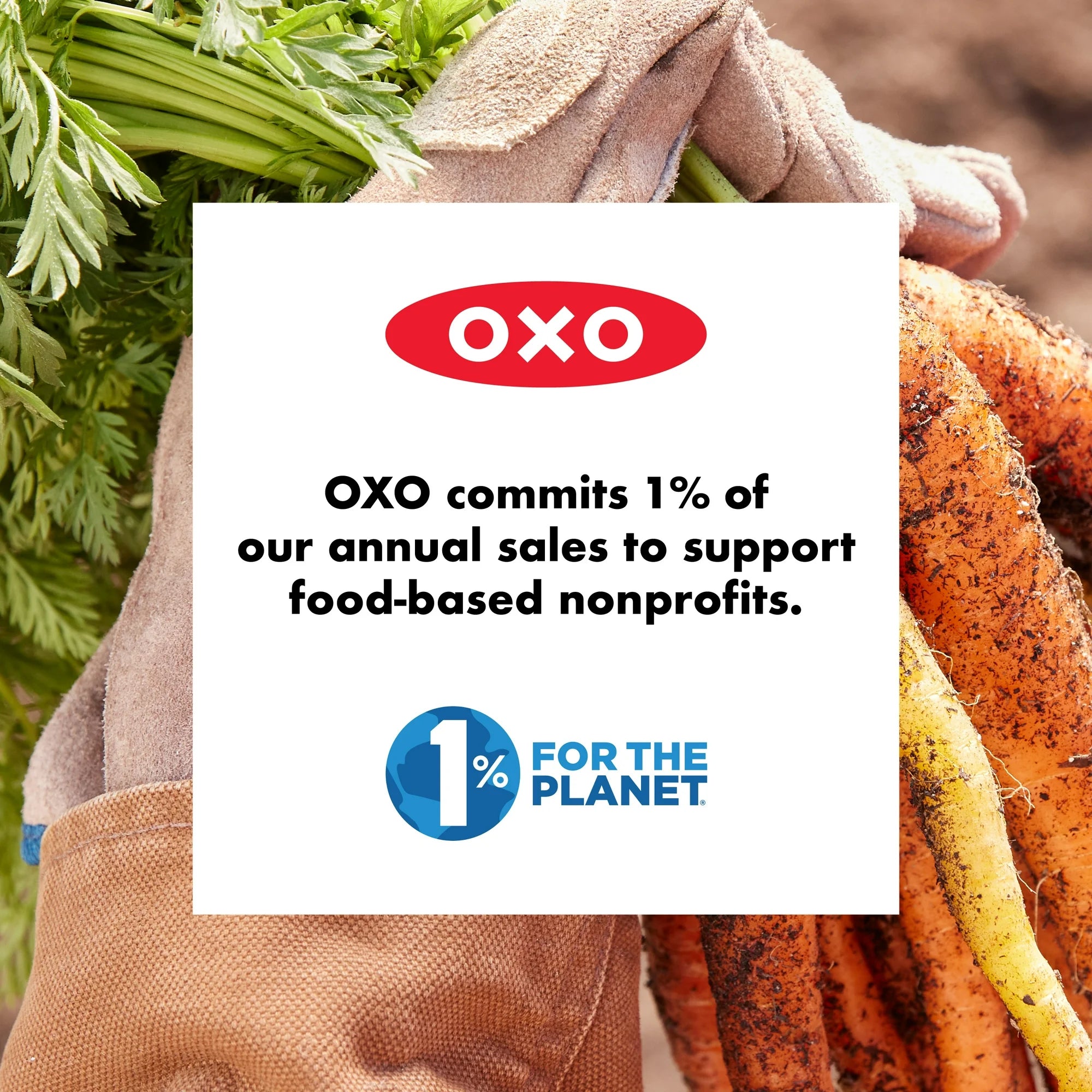 OXO SoftWorks Food Chopper – White