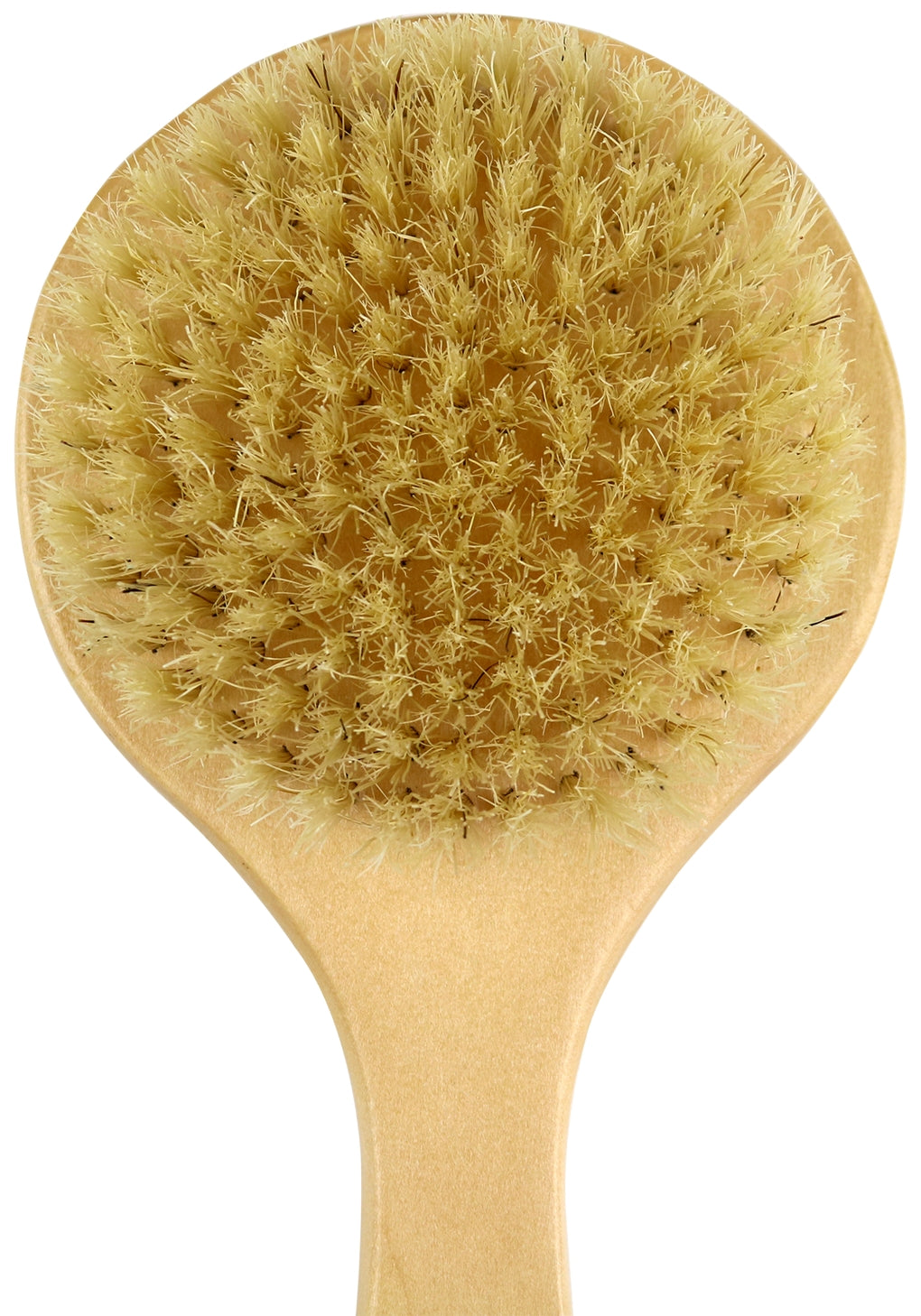 Soft Bristle Wood Handled Bath Body Brush