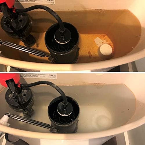 Whink RUSTGuard Time Released Toilet Bowl Cleaner Tablets – Pack of 2