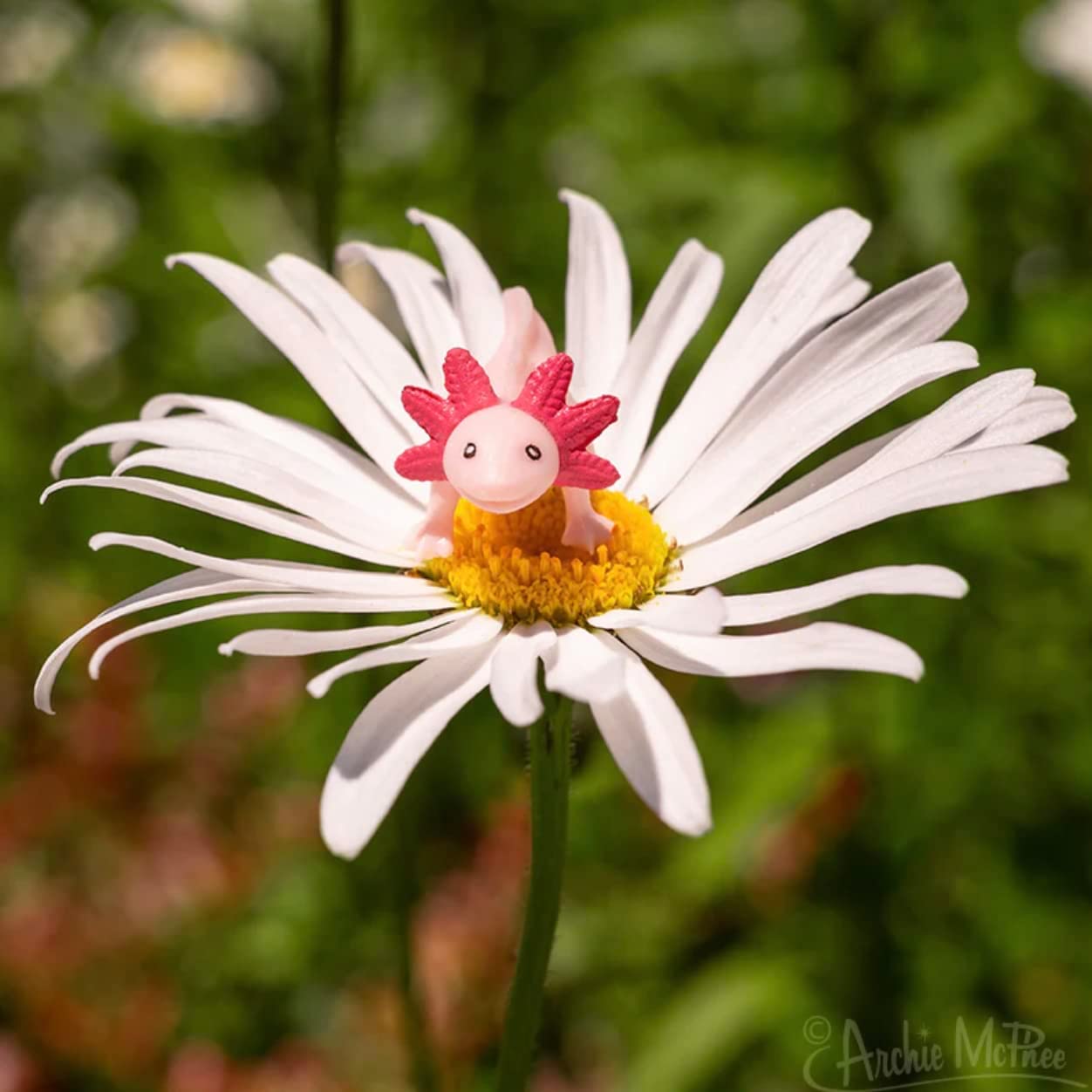 Archie McPhee Itty Bitty Axolotls – Pack of 8