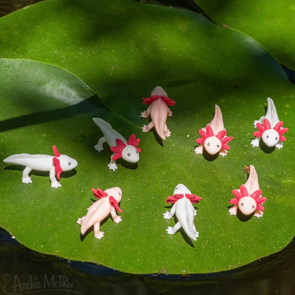 Archie McPhee Itty Bitty Axolotls – Pack of 8