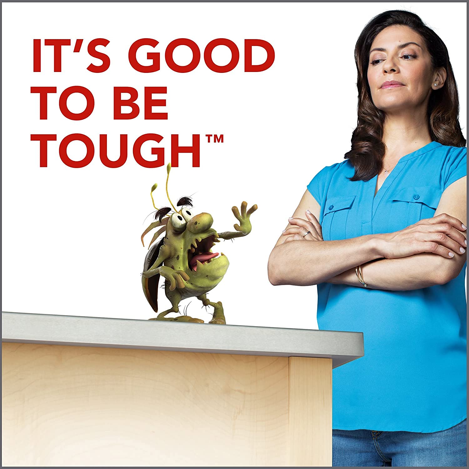 Raid Ant & Roach Killer – Outdoor Fresh – 17.5 oz