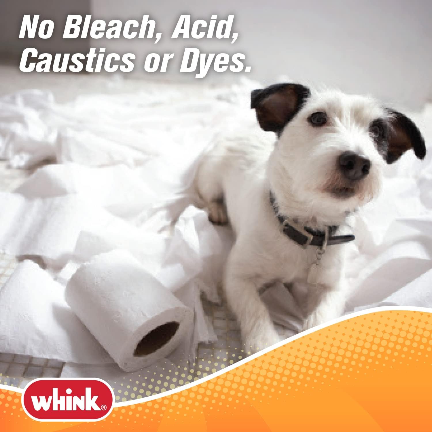 Whink RUSTGuard Time Released Toilet Bowl Cleaner Tablets – Pack of 2