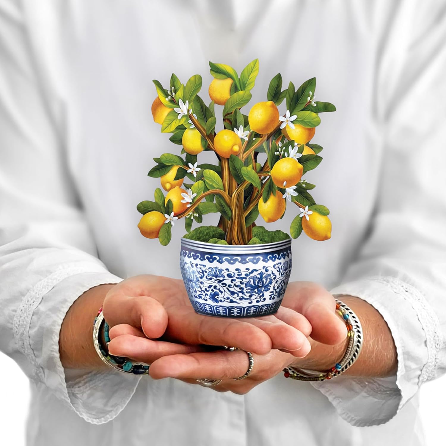 Fresh Cut Paper 3D Pop Up Flower Greeting Note Card – Lemon Blossom Tree – 6" x 5"