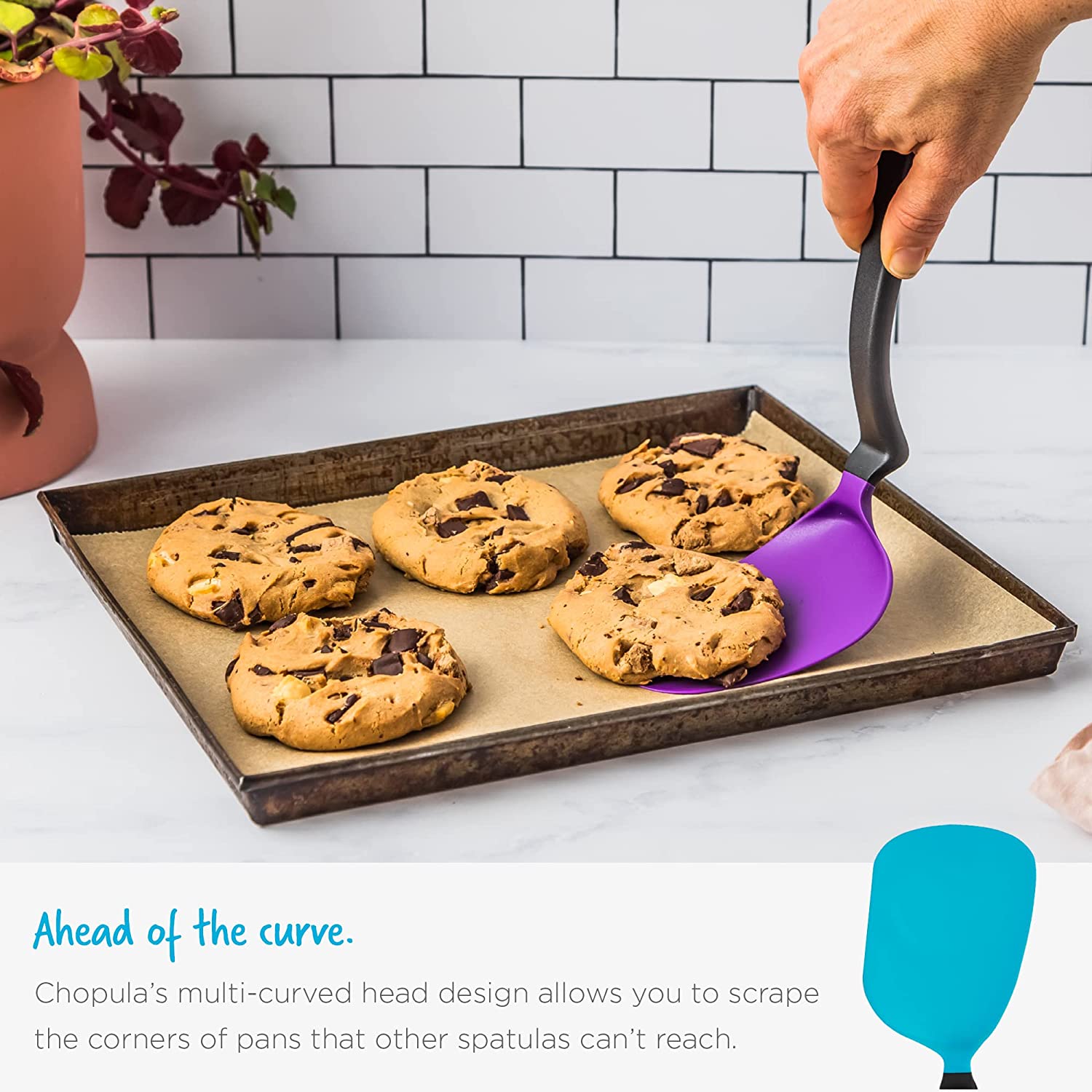 Dreamfarm Chopula - Super Flexible Chopping Sit Up Spatula – Assorted Colors