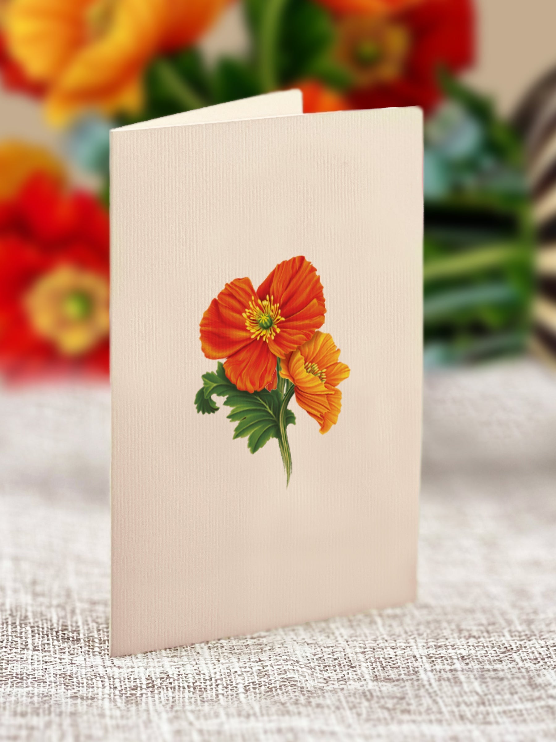 Fresh Cut Paper 3D Pop Up Flower Greeting Note Card – French Poppies – 6" x 5"