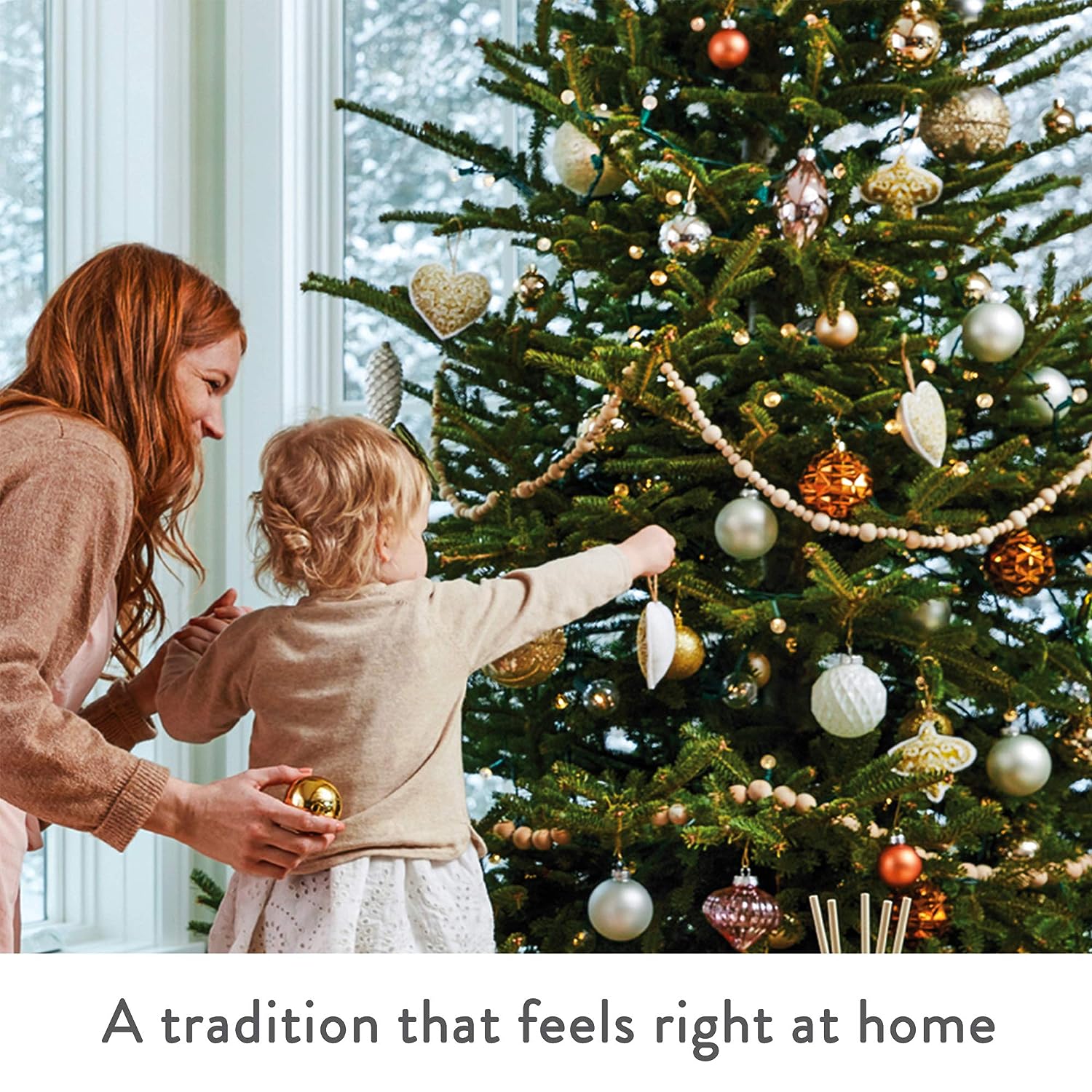 Thymes Frasier Fir Glass Vessel Hand Wash – 15oz