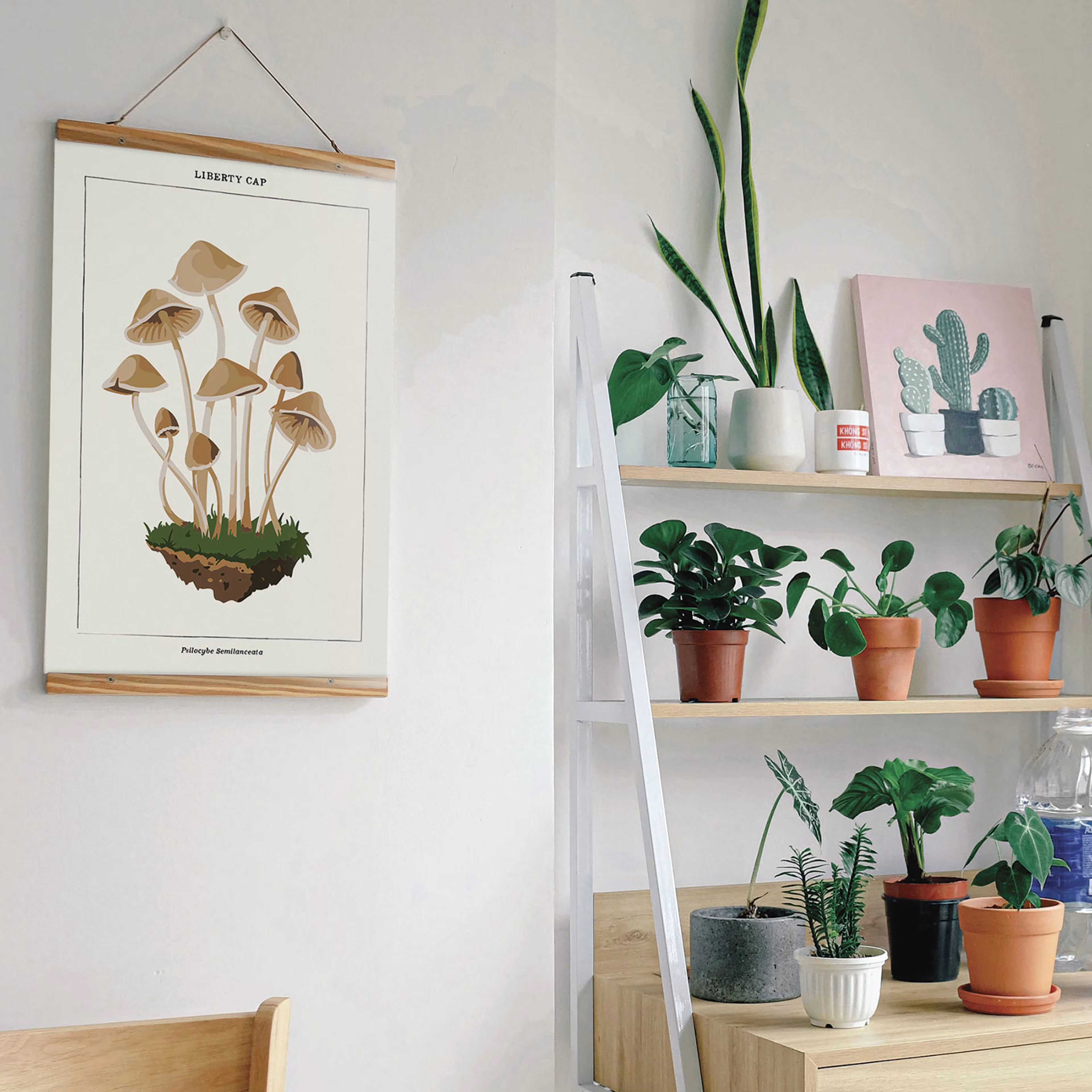 Coloready Paint by Number Kit - Mushroom Botanical