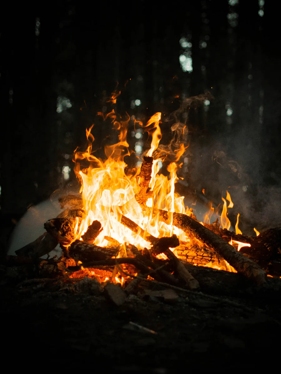 Apotheke Petite Candle – Cardamom Chestnut – 5oz