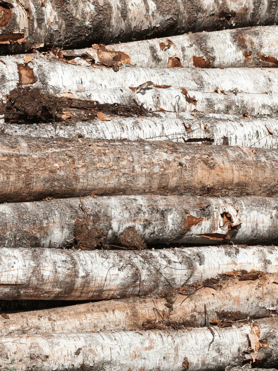 Apotheke Petite Candle – Cardamom Chestnut – 5oz