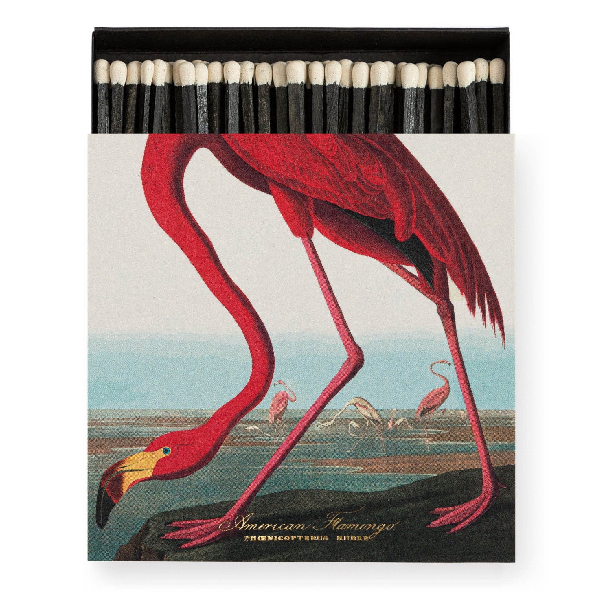 Archivist The American Flamingo by Audubon Luxury Matches – 125 Stick Matches