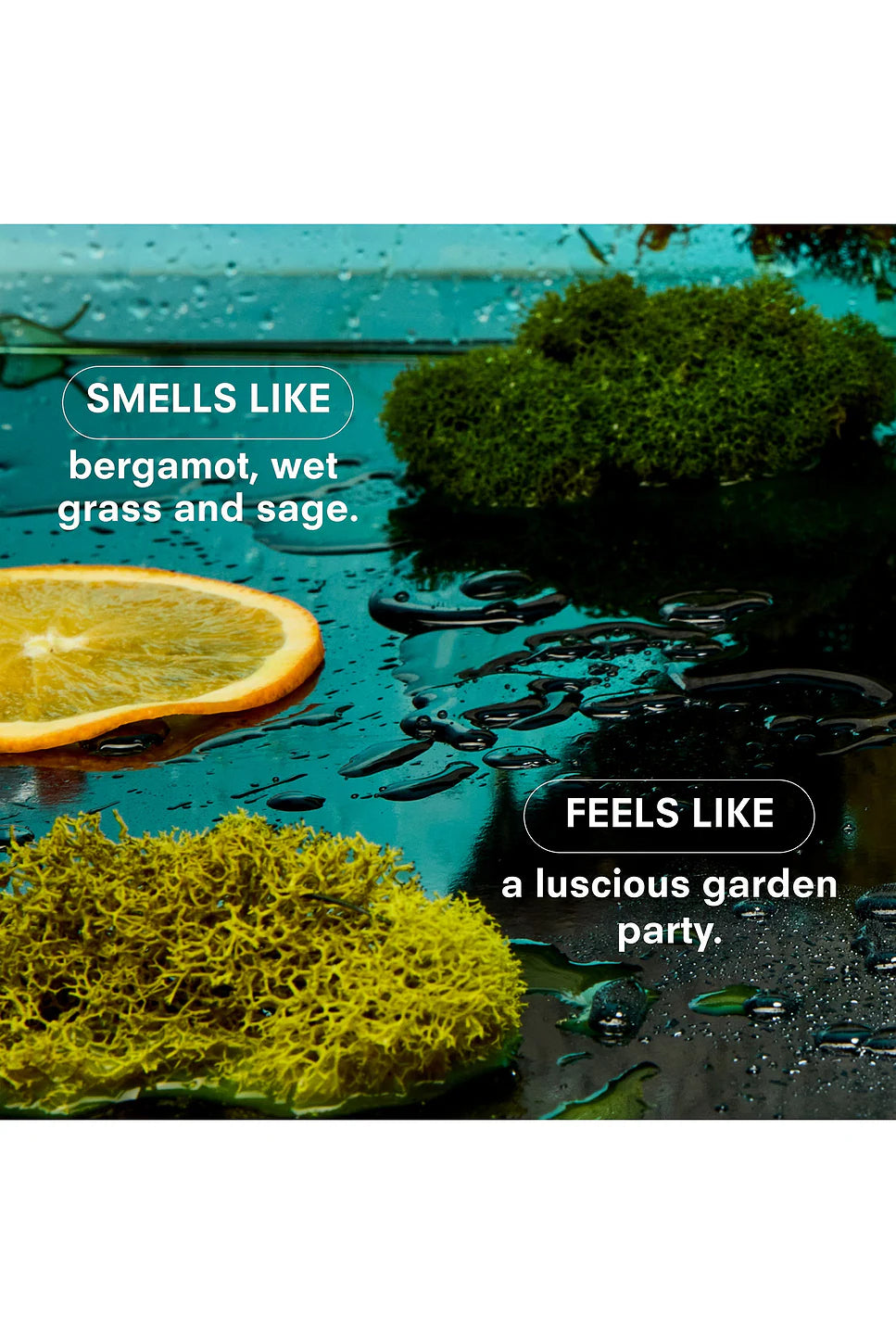 Boy Smells Essentials Scented Candle – Herbaceous – 8.5oz.