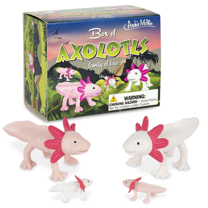Archie McPhee Box of Axolotls – Family of 4