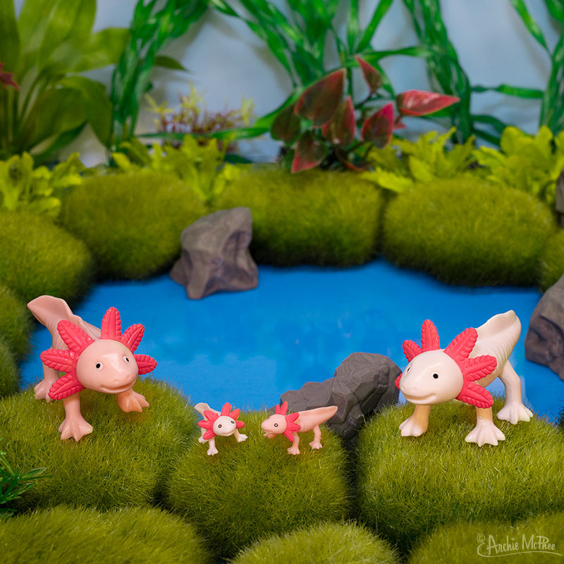 Archie McPhee Box of Axolotls – Family of 4