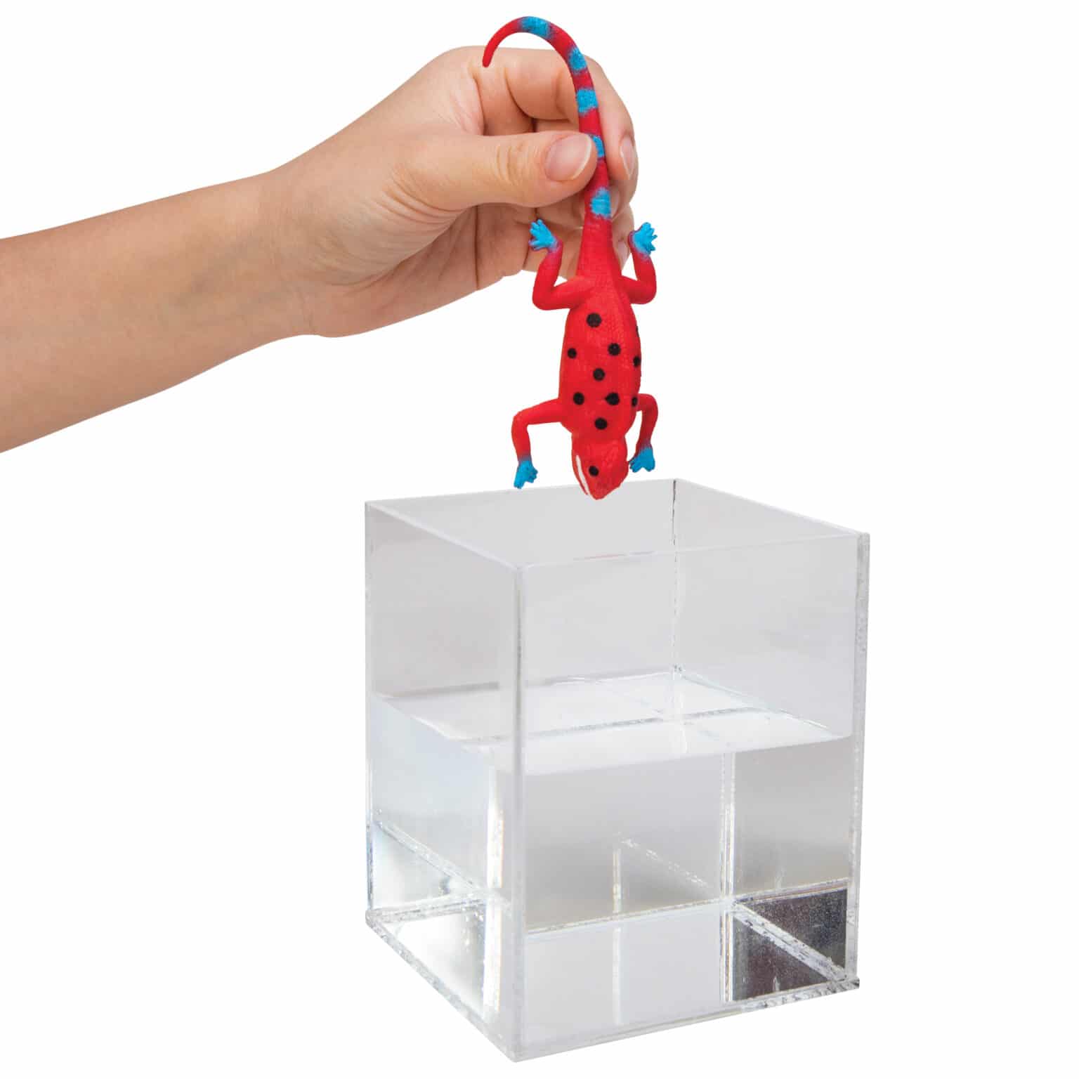 Schylling Color Change Revealeons - Assorted – EACH SOLD SEPARATELY