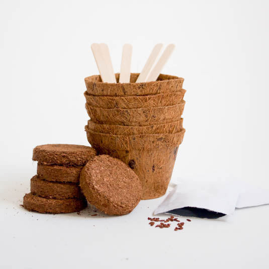 Grow Your Own Herb Garden