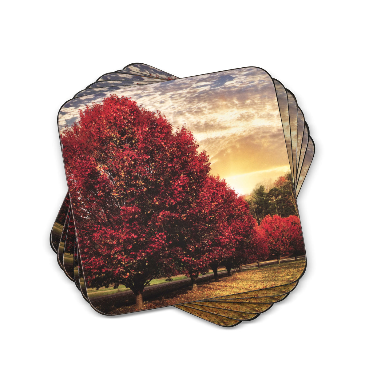 Crimson Trees Coasters – Set of 6