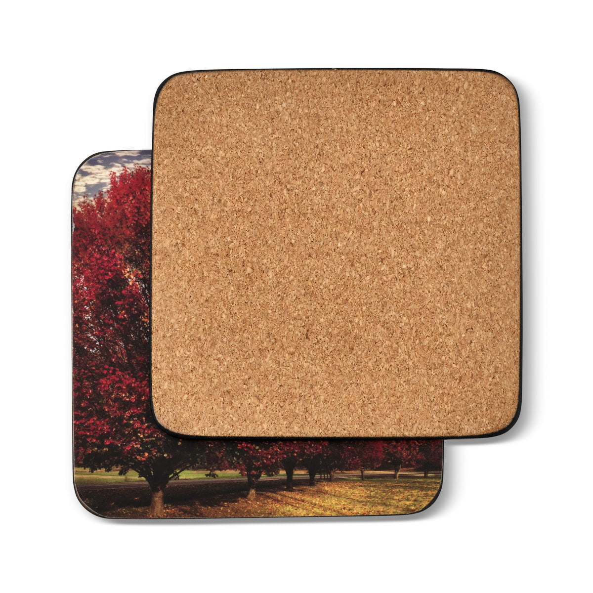 Crimson Trees Coasters – Set of 6