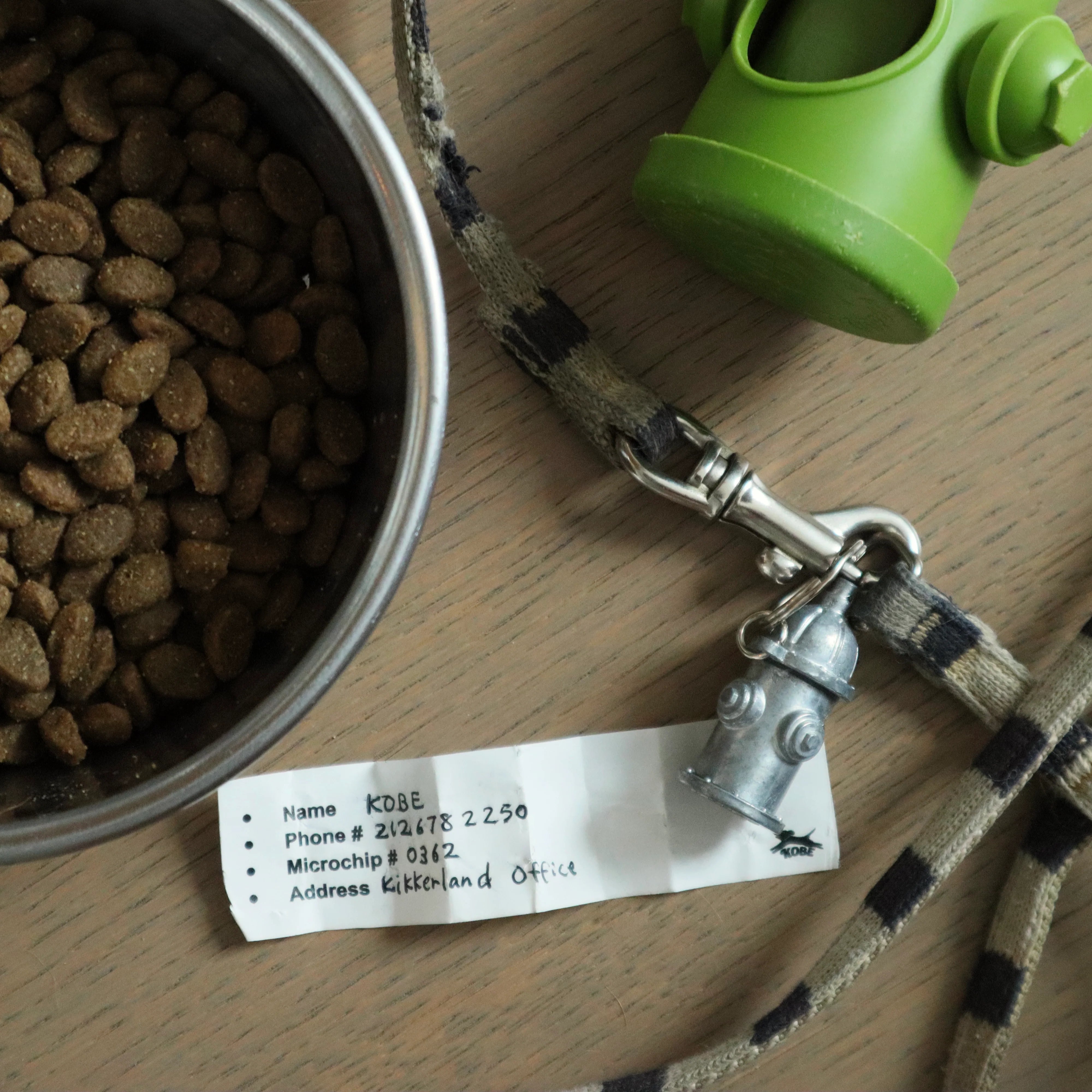 Kikkerland Kobe Identification Dog Charm