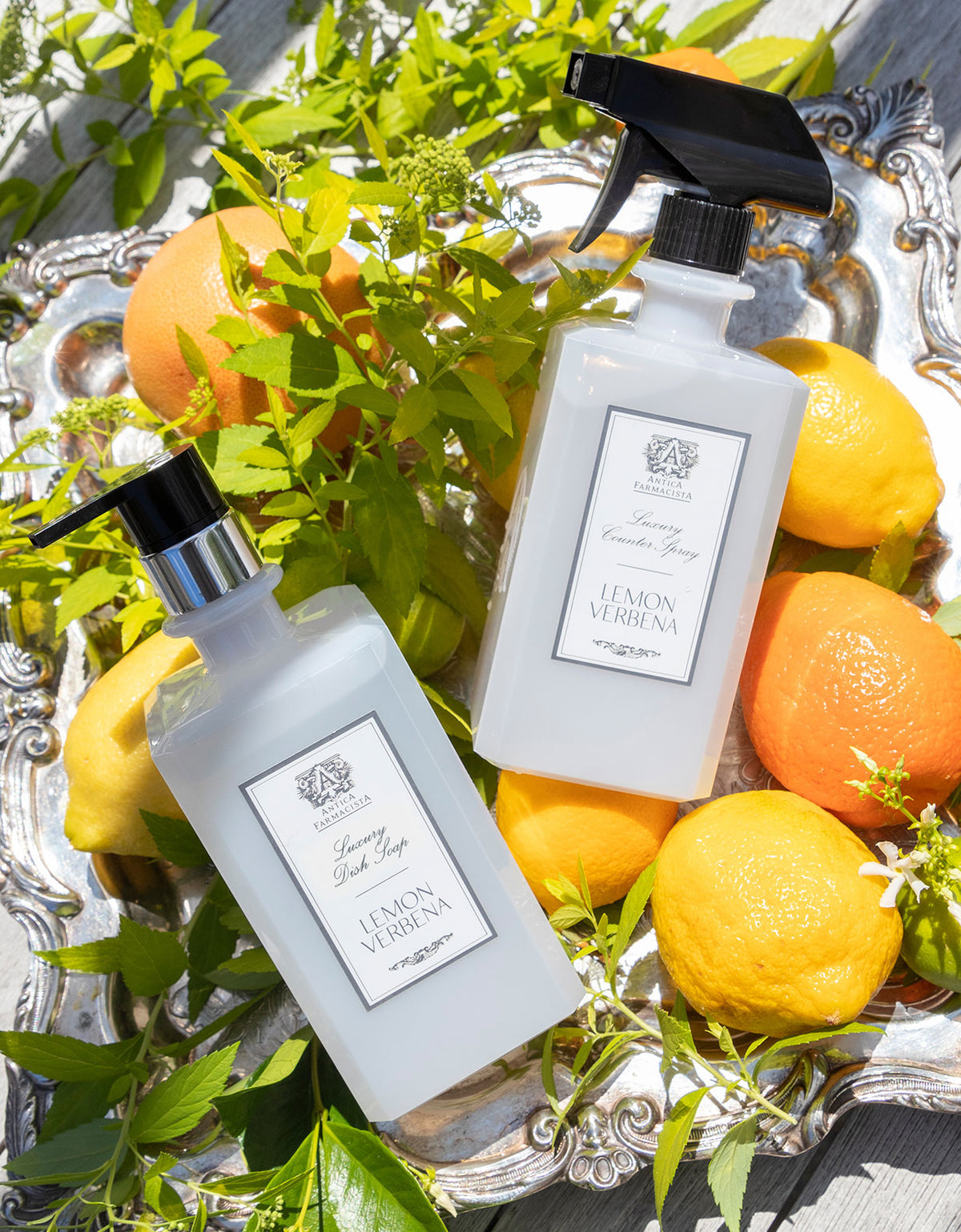 Antica Farmacista Lemon Verbena Dish Soap – 24oz