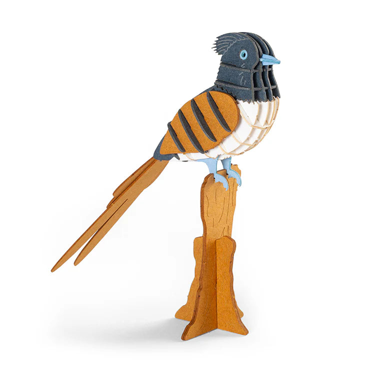 Kikkerland 3D Puzzle – Paradise Flycatcher