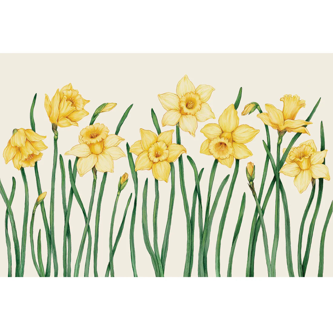 Hester & Cook Paper Placemats - Field of Daffodils – 18 Per Package