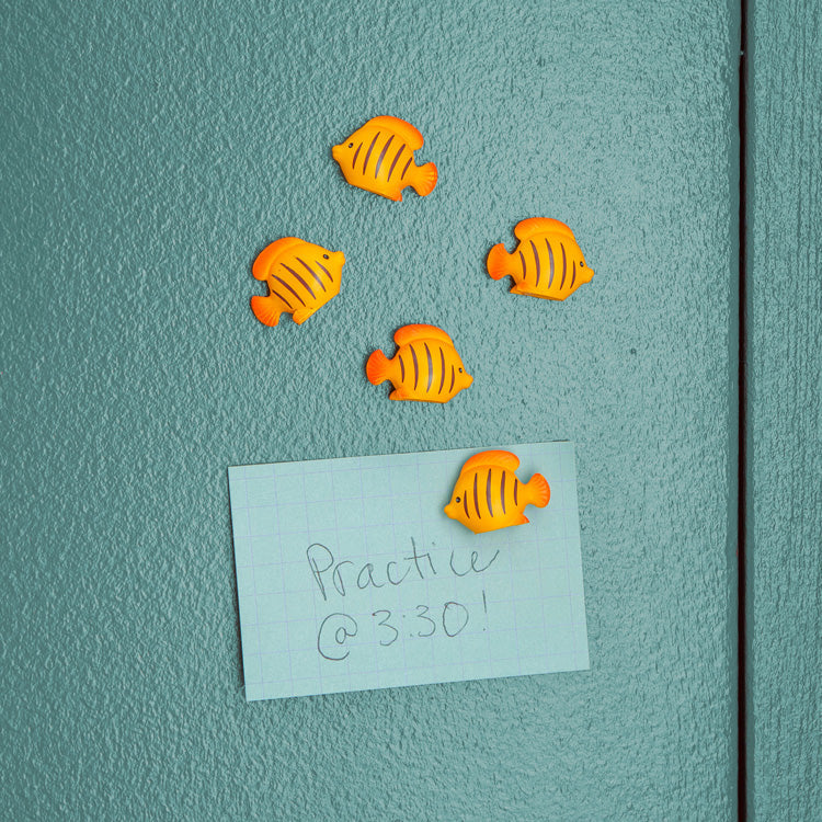 Kikkerland Fish Magnets – Set of 5