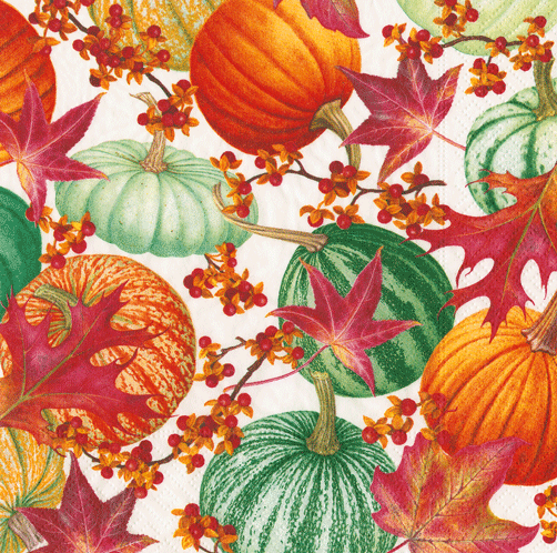 Caspari Gourds And Leaves Recycled Cocktail Napkin - 20pk