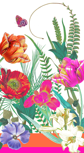 Caspari La Dolce Vita Paper Guest Towel Napkins - 15 Pk