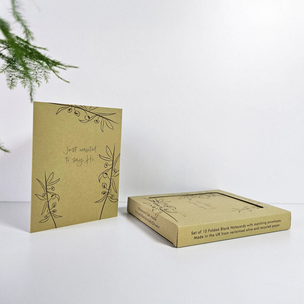 Notecards Made From Reclaimed Olives – Set of 10