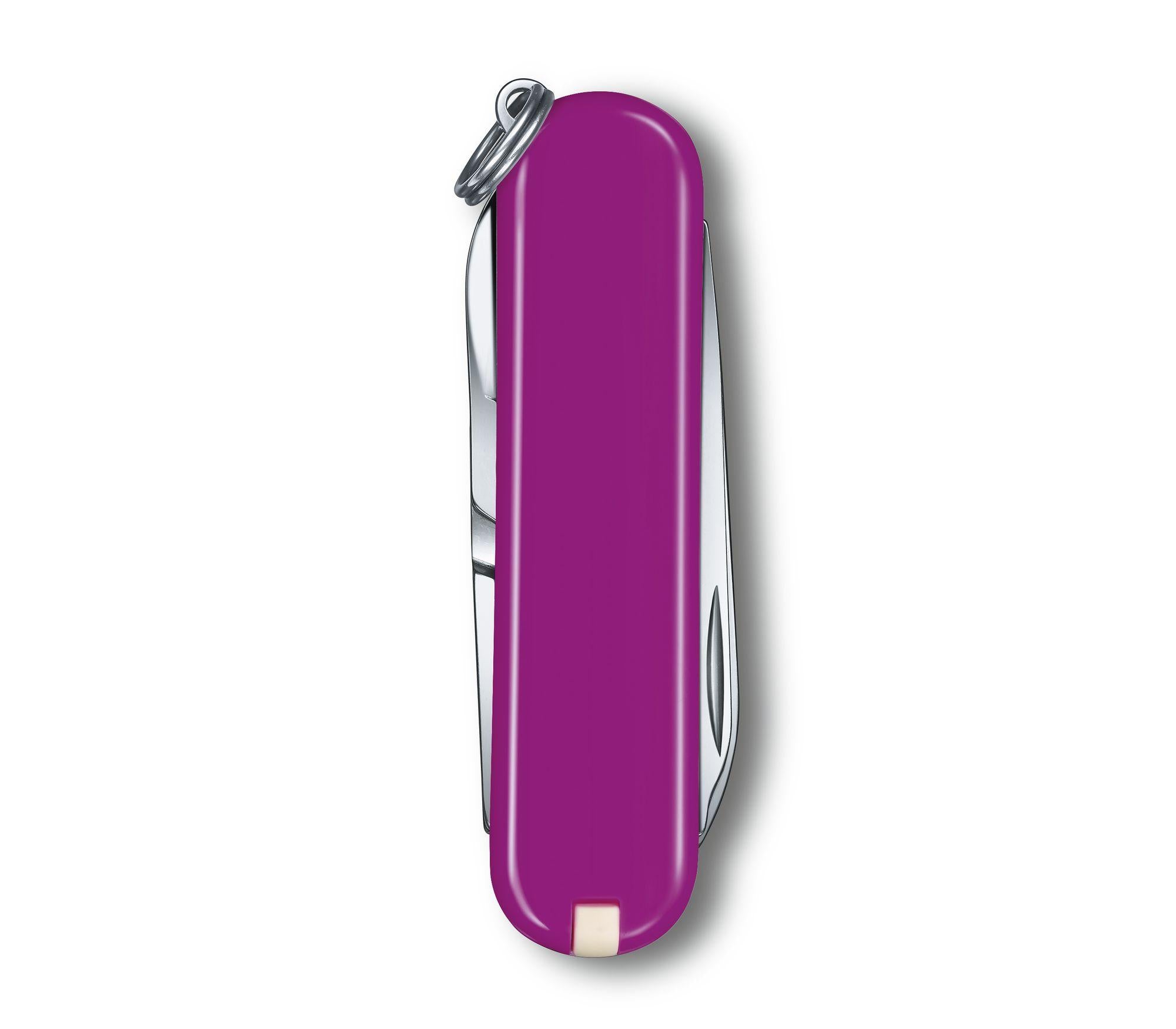 Victorinox Swiss Army Classic SD Pocket Knife – Tasty Grape