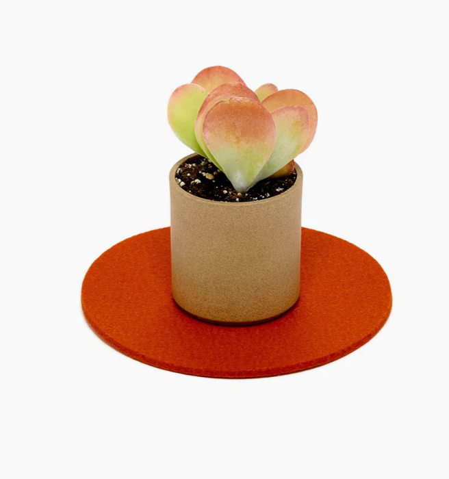 Graf Lantz Felt Round 8" Trivet – Orange