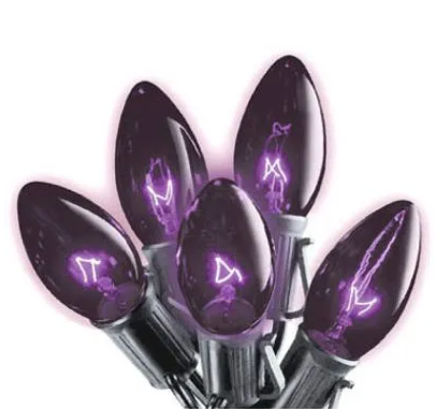 Halloween String Light Set – Dark Purple – 25-Ct.