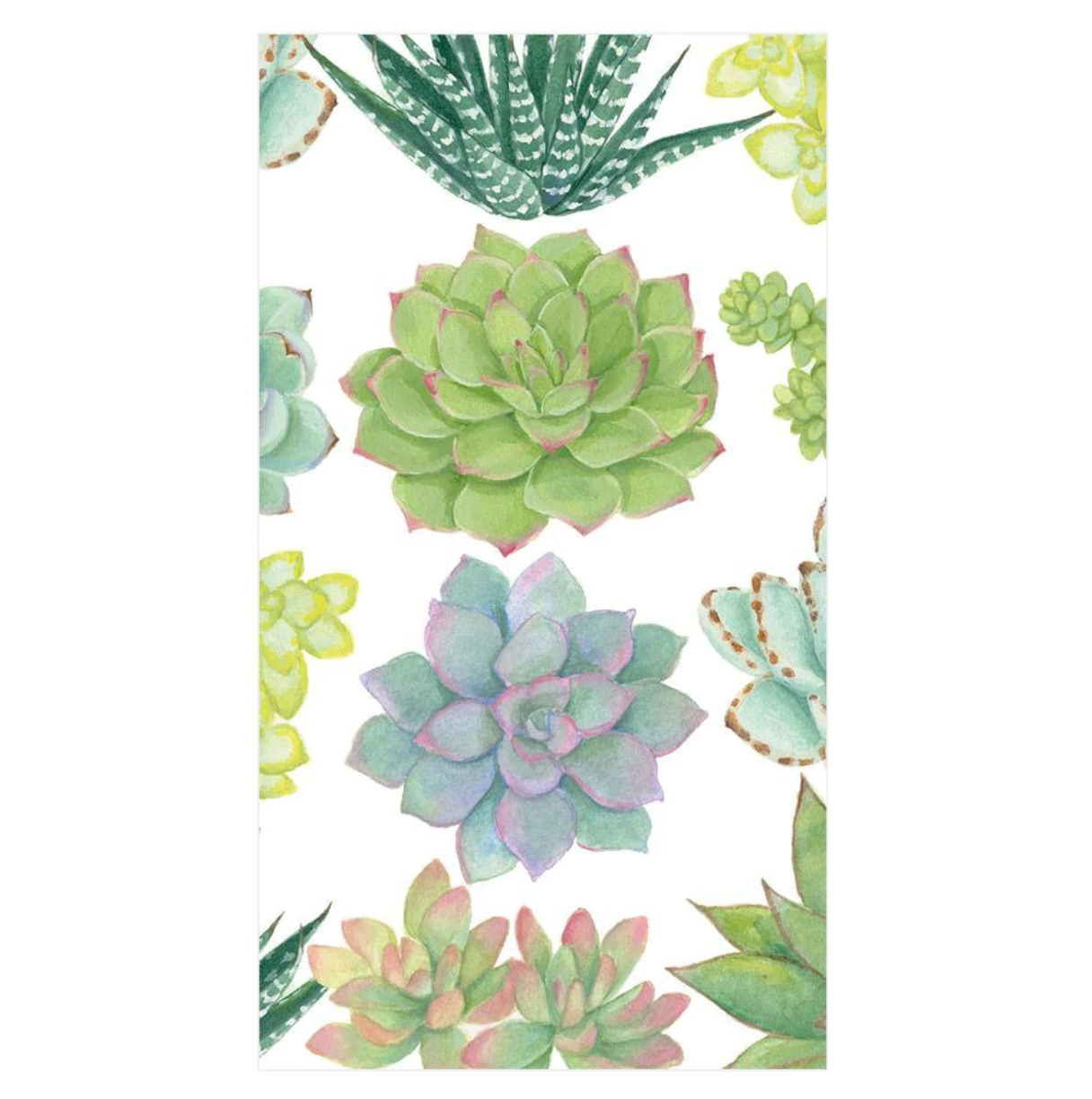 Caspari Succulents Guest Towels - 15pk