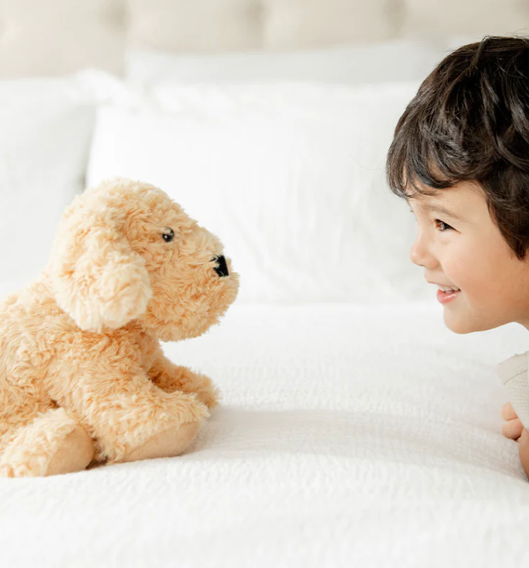 Warmies – Microwavable Lavender Scented Weighted Plush Animals – Golden Dog