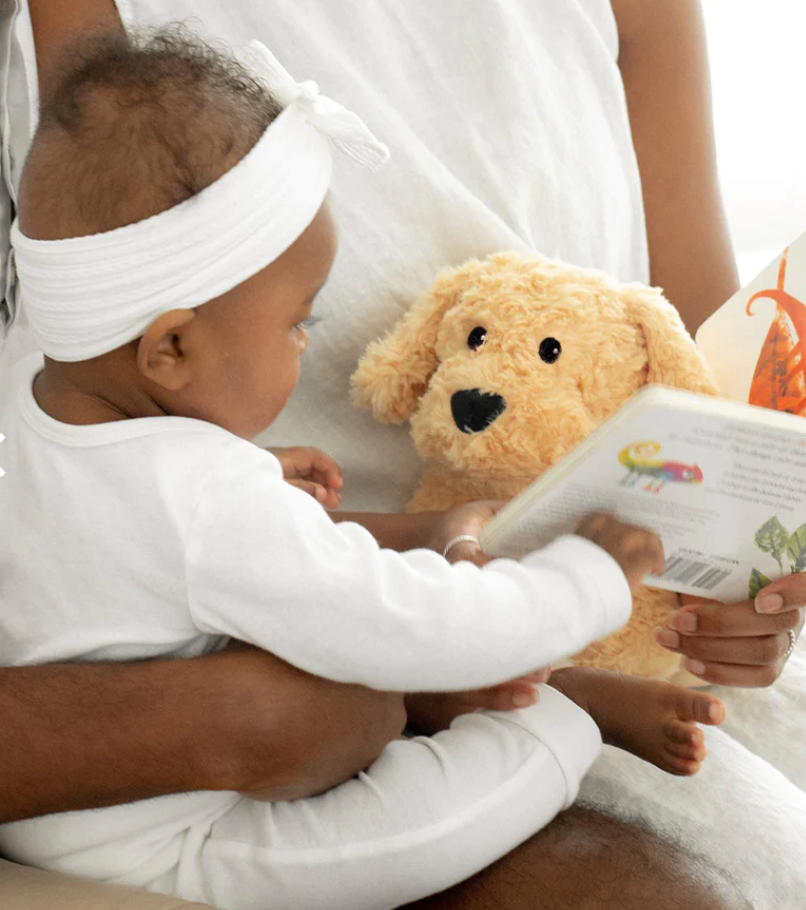 Warmies – Microwavable Lavender Scented Weighted Plush Animals – Golden Dog