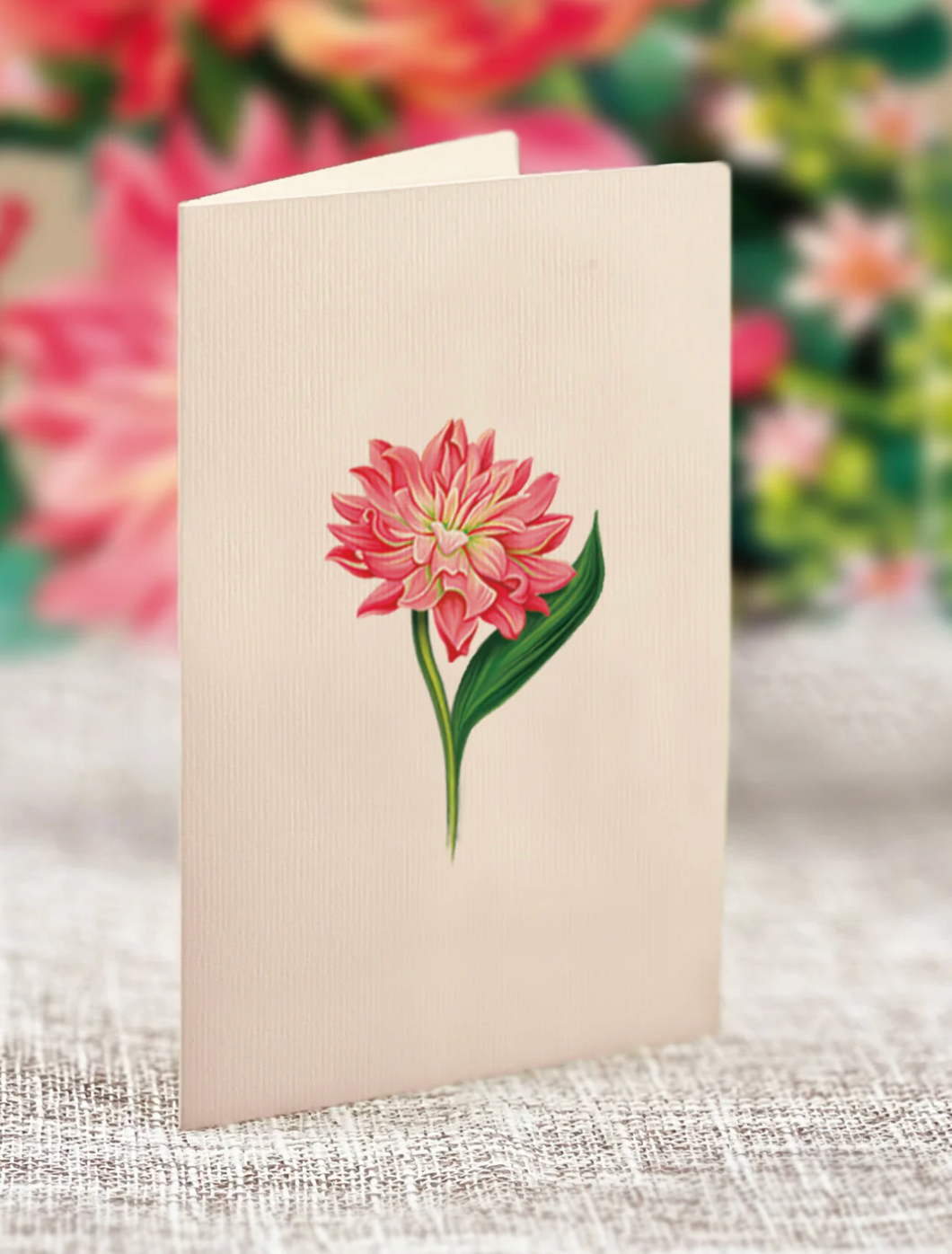 Fresh Cut Paper 3D Pop Up Flower Greeting Note Card – Dear Dahlia – 6" x 5"