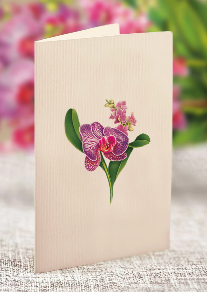 Fresh Cut Paper 3D Pop Up Flower Greeting Note Card – Orchid Oasis – 6" x 5"