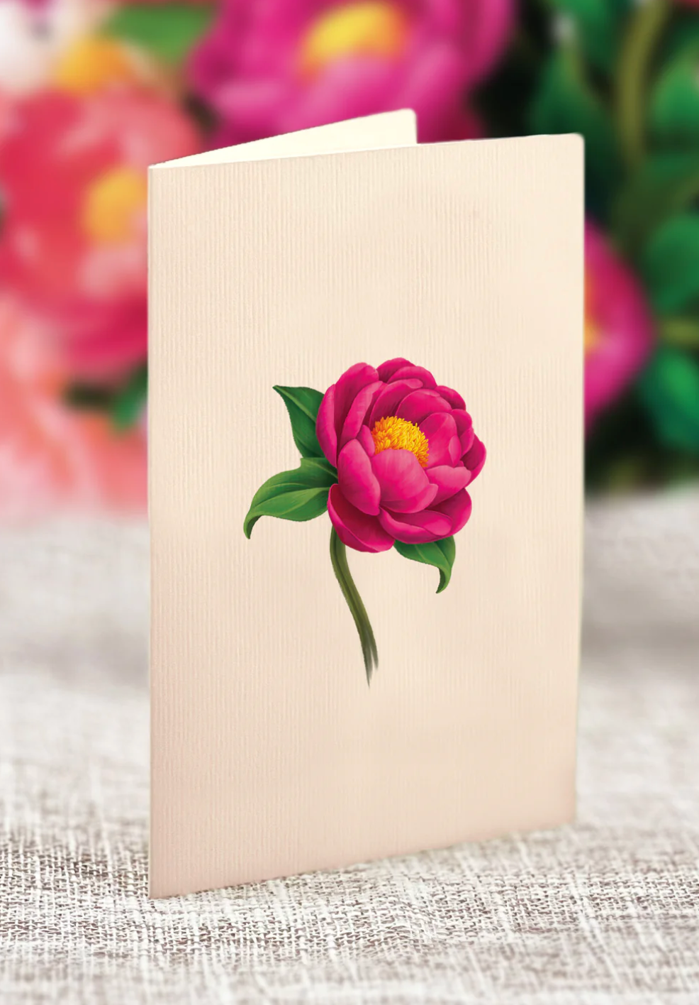 Fresh Cut Paper 3D Pop Up Flower Greeting Note Card – Peony Paradise – 6" x 5"