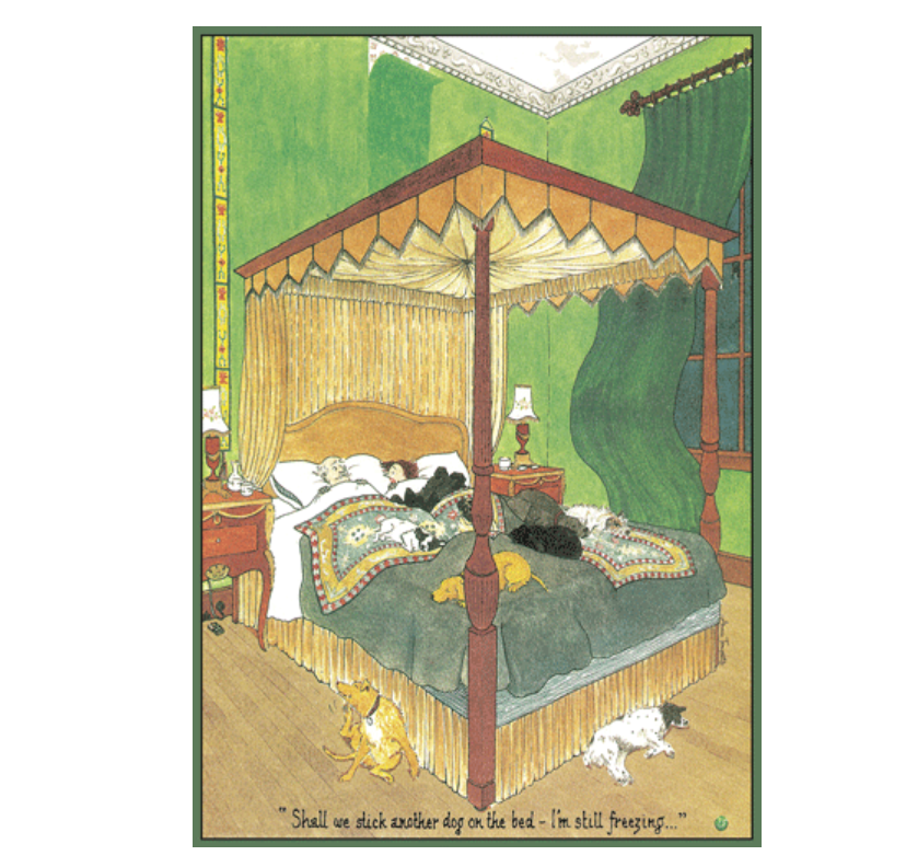 Caspari – Throw Another Dog On The Bed Blank Card – 1 Card & 1 Envelope