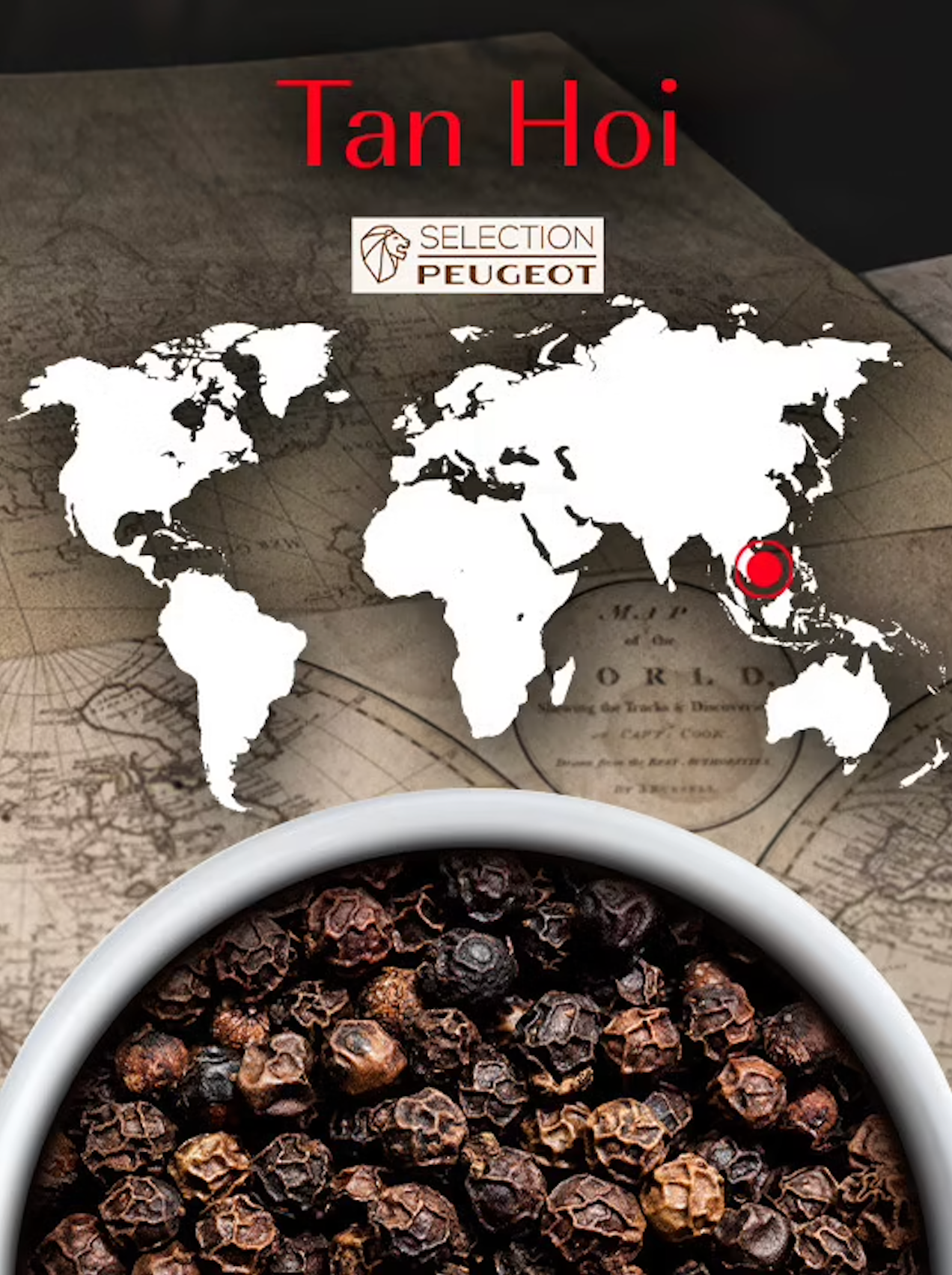 Peugeot Tan Hoi Vietnamese Black Peppercorns Refill – Single Sachet