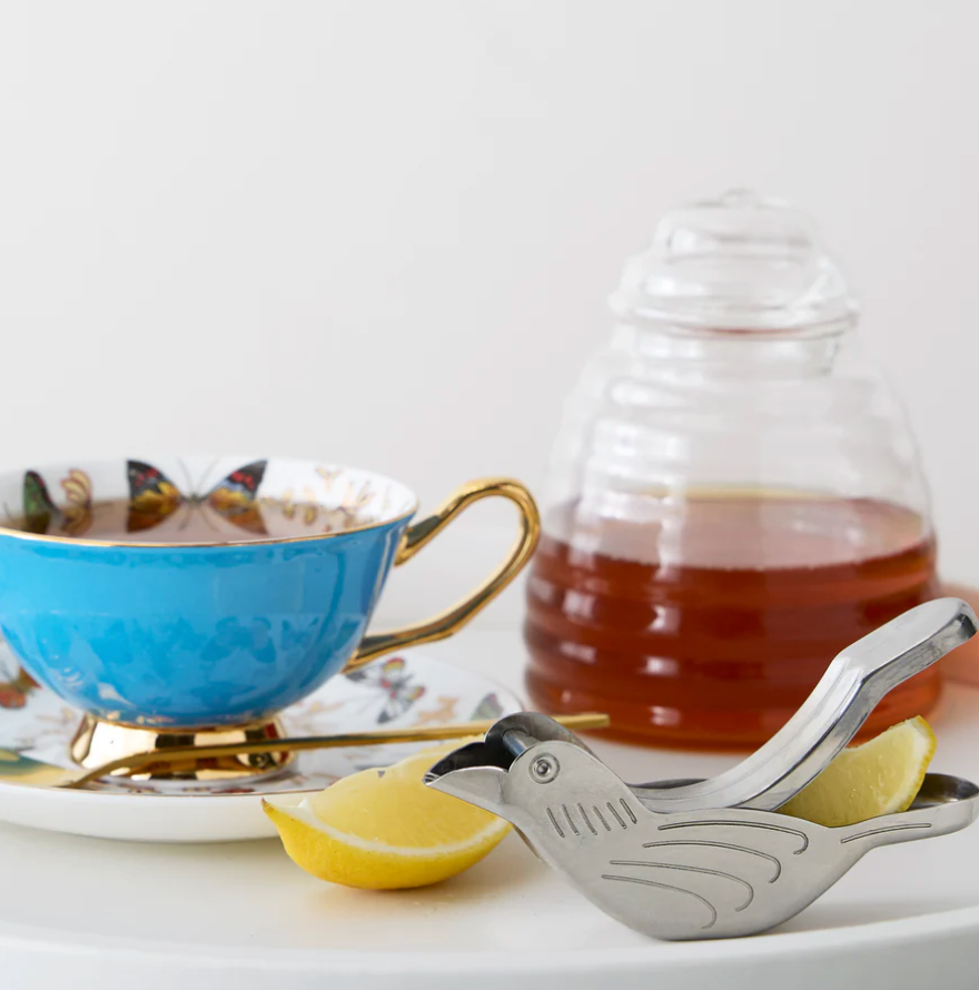 Bird Citrus Squeeze Juicer
