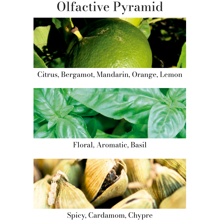 Cereria Molla - Bulgarian Rose & Oud Medium Diffuser – 8.4oz