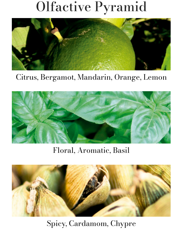 Cereria Molla Travel Size Room Mist & Body Spray – .5oz – Basil & Mandarin