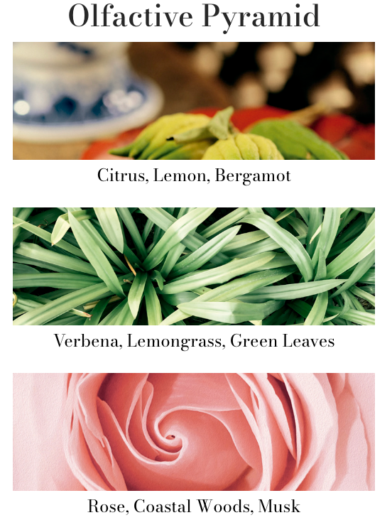 Cereria Molla Travel Size Room Mist & Body Spray – .5oz – Verbena di Sicilia