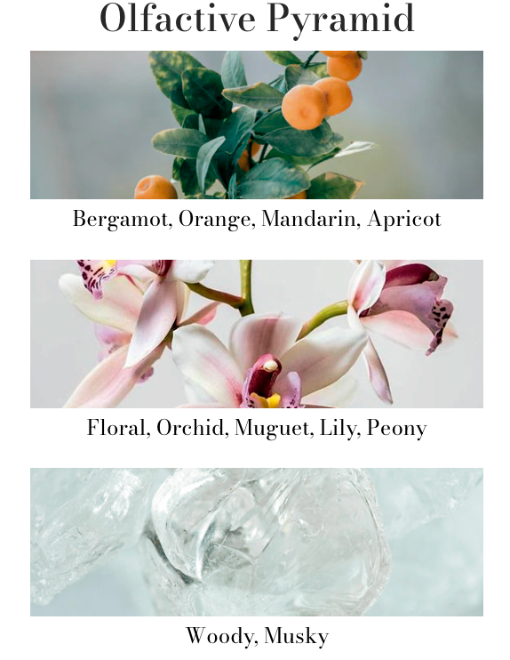 Cereria Molla Travel Size Room Mist & Body Spray – .5oz – Black Orchid & Lily